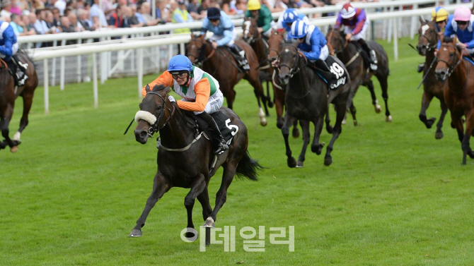 경마 종주국 영국 vs 씨수말 강국 미국, 누가 더 빠를까