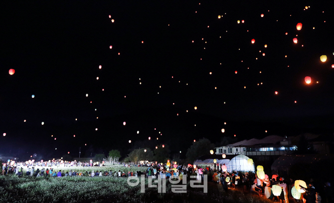 [포토] 한밤의 평창효석문화제