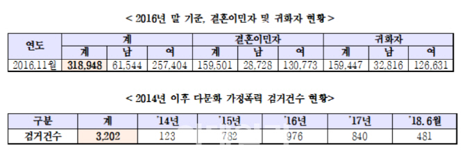 국제결혼 후 맞는 여성들…다문화 가정폭력, 최근 5년 3200건 검거