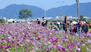 구리시, '코스모스축제' 시민 참여로 축제 기획