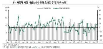 내수 車판매 늘었지만…더딘 해외 회복세가 문제-DB