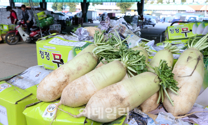 [포토]추석 물가 비상…9월 배추·무·당근값 고공행진