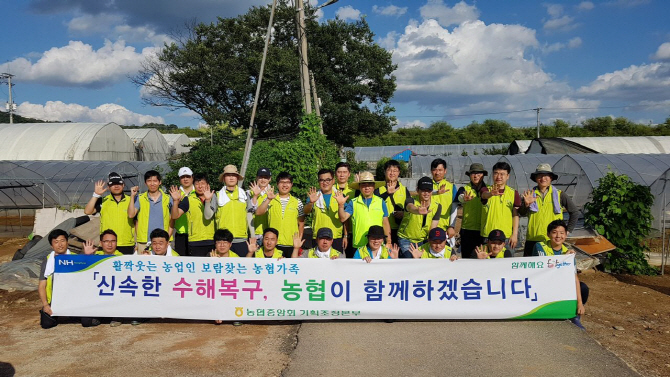 농협중앙회 임직원, 고양 지역 폭우피해 농가 일손돕기 활동