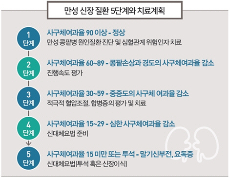 망가진 콩팥 원상 회복 어렵지만.. 적절한 치료 통해 진행 속도 늦출 수 있어