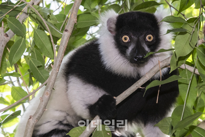 [포토] '등골이 오싹~' 유령처럼 보이나요