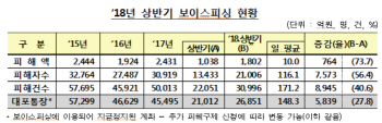 매일 116명이 860만원씩 사기…보이스피싱 주의보 발령