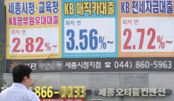 ③"대출규제 강화" vs "금리 올려야"