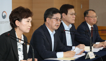 8번째 규제 카드 꺼낸 정부… 시장 이길까