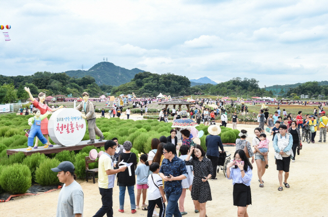 "핑크뮬리, 천일홍 보러 양주 나리공원으로 오세요"