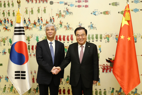 文의장, 딩 중리 中 전인대 부위원장 면담.."동주공제 정신으로 협력"