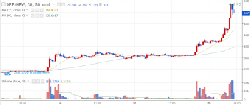 `바닥론·ETF 기대`로 오르는 암호화폐…리플 40%대 폭등