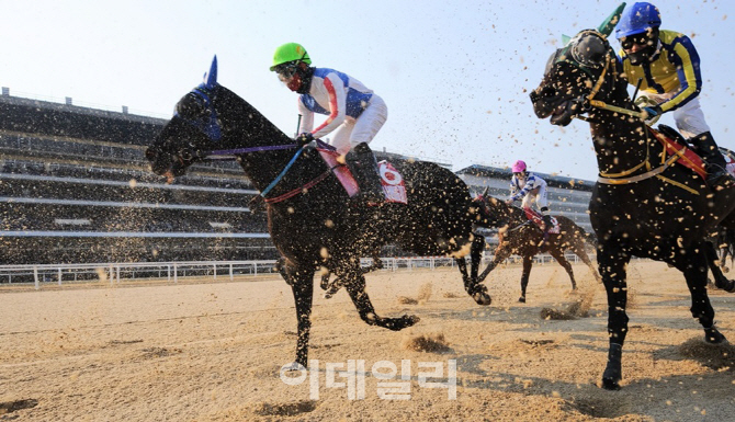 한국마사회, 추석연휴 21~23일 경마장 휴장.. 10월 94개 경주 시행