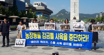 좁은 철창에 갇힌 닭들…"배터리 케이지 금지하라"