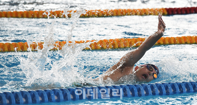 [포토]금빛메달을 향해 훈련하는 대한민국 수영 대표팀 이동구 선수