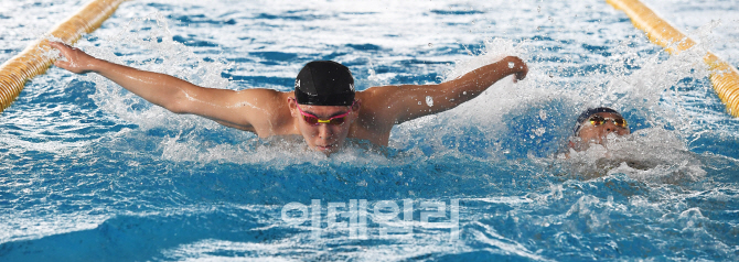 [포토]금빛메달을 향해 훈련하는 대한민국 수영 대표팀 김세훈-권용화