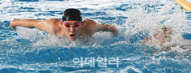 [포토]훈련하는 대한민국 수영 대표팀 김세훈 선수