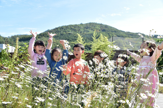 [포토] 서대문구청 옥상의 가을