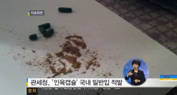 '인육캡슐' 밀반입, 감시망에도 올해 300정 적발