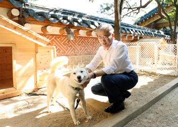 靑, ‘김정은 선물’ 풍산개 송강·곰이의 ‘文대통령과 즐거운 한 때’ 공개