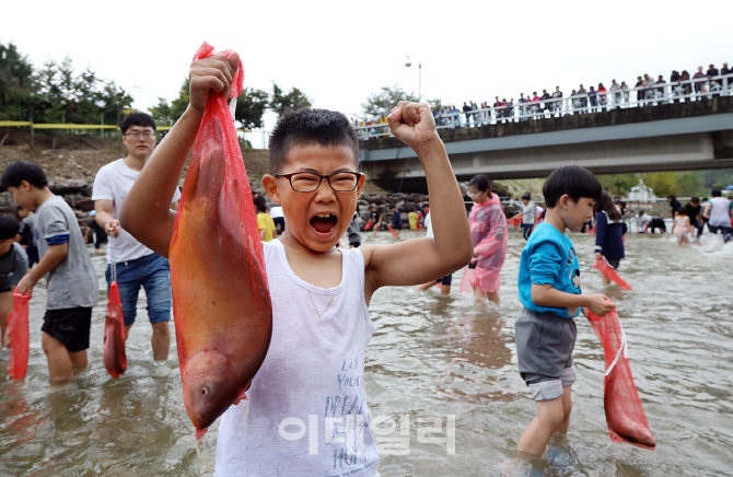 [포토] 완주와일드푸드축제서 맨손 물고기잡기