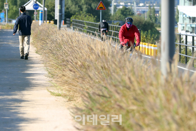 [포토]'가을길'