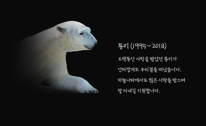 국내 마지막 북극곰 통키, '야생공원 이주' 앞두고 사망