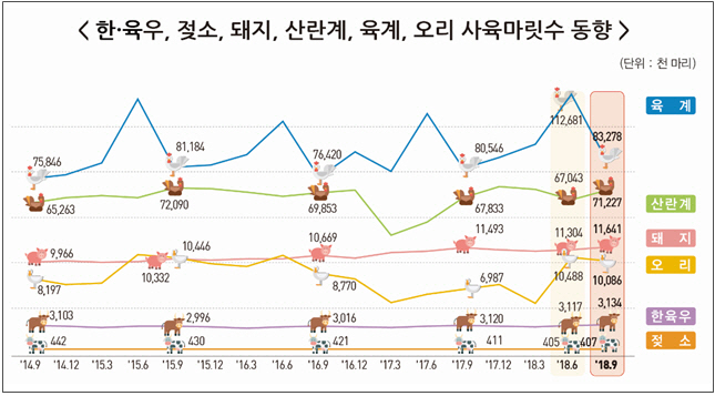 돼지 사육마릿수 1164만마리 '역대최다'