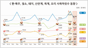 돼지 사육마릿수 1164만마리 '역대최다'
