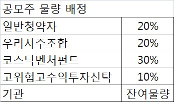 "공모株 개인투자자 배정물량 20% 손안댄다"…한발 물러선 금융위