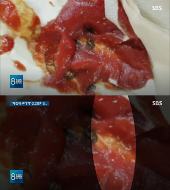 키즈카페서 ‘구더기떼 케첩’ 먹고 구토..식약처 “구더기, 뱃속에서 죽어”