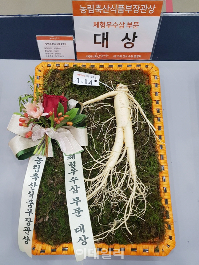 [포토]'2018 대한민국 인삼대축제' 대상을 수상한 풍기인삼농협 농업인 김도진 씨의 햇 수삼