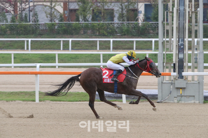 총상금 4억원 제주특별자치도지사배, 국산마 여왕 가린다