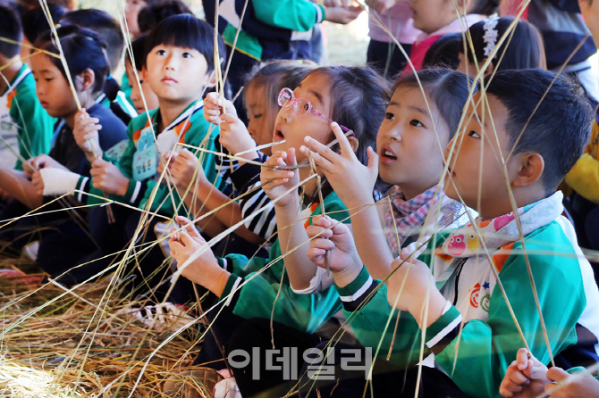 [포토]볏짚으로 새끼꼬아요!