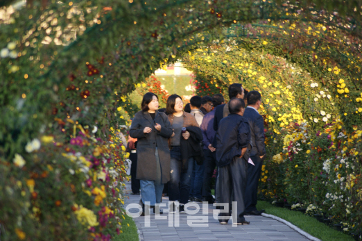 "국화·국밥·국수를 한곳서 즐기는 예산삼국축제 한번 가볼까"