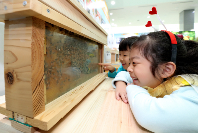 "꿀벌 가까이서 보세요"…내달 2일까지 농진청서 전시회