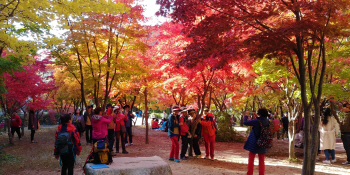 경기북부 대표 단풍 명소 동두천 소요산에서 '단풍축제'