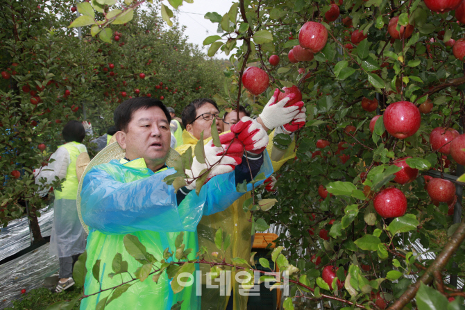 [포토]농협상호금융, 농촌일손돕기