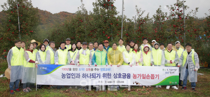 [포토]농협상호금융, 농촌일손돕기에 팔 걷어 붙여