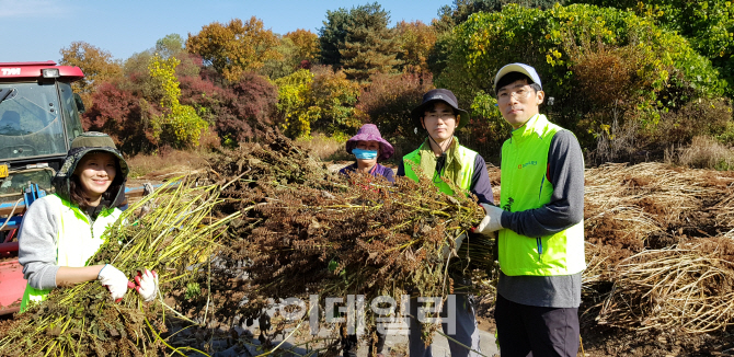 [포토]농협중앙회 조합구조개선부, 수확기 농촌일손돕기
