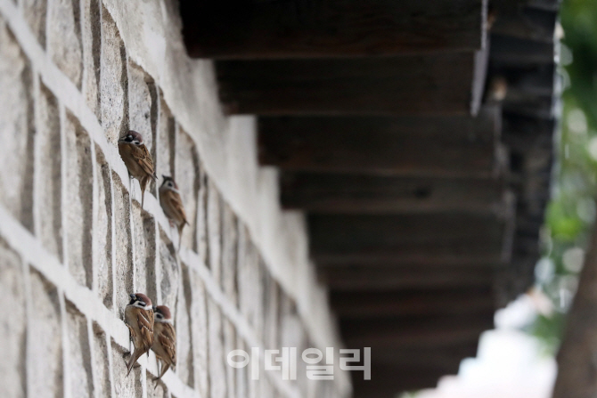 [포토]'비가 싫어요'