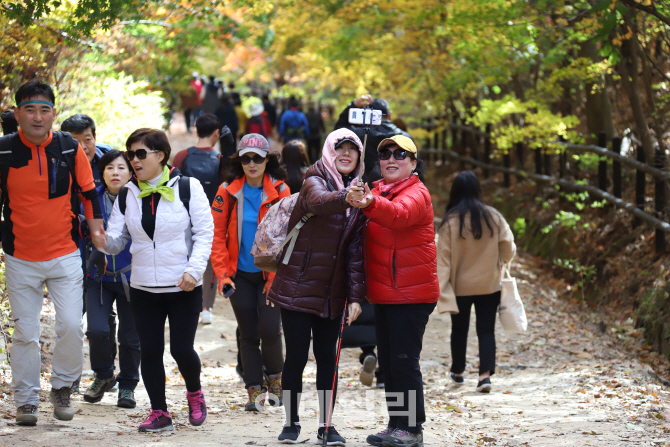 [포토]'숲속을 걸어요'