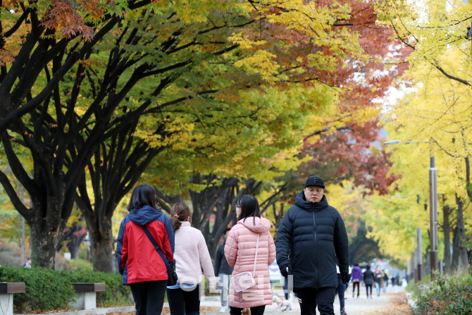 [포토]'겨울이 오려나'