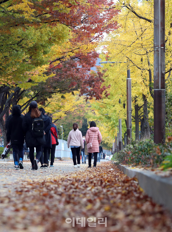 [포토]'낙엽 사이로'