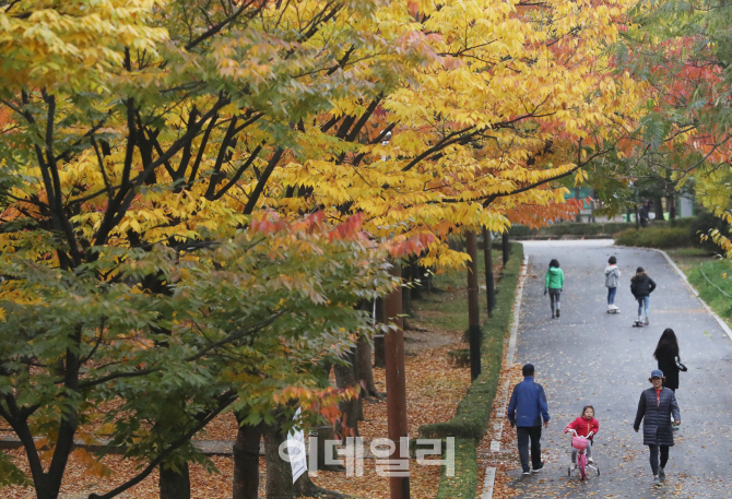 [포토]'가을 끝자락을 달리다'