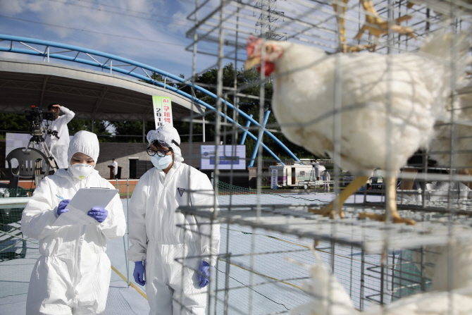 세종시·충북도, 지난해 최우수 가축방역 시·도 선정