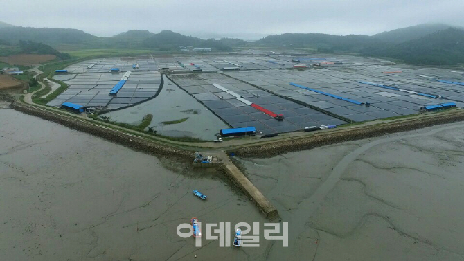 국립민속박물관, ‘호모 소금 사피엔스’와 연계해 문화행사