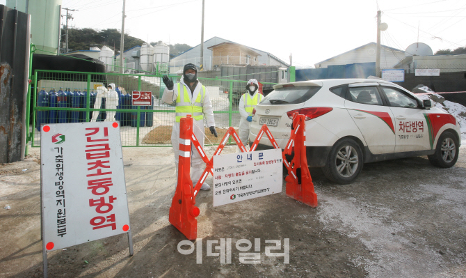 포천시 "AI, '저병원성' 가능성 커"…방역활동 강화