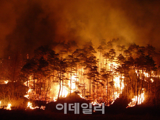 가을마다 찾아오는 검은그림자 '산불'…올해는?