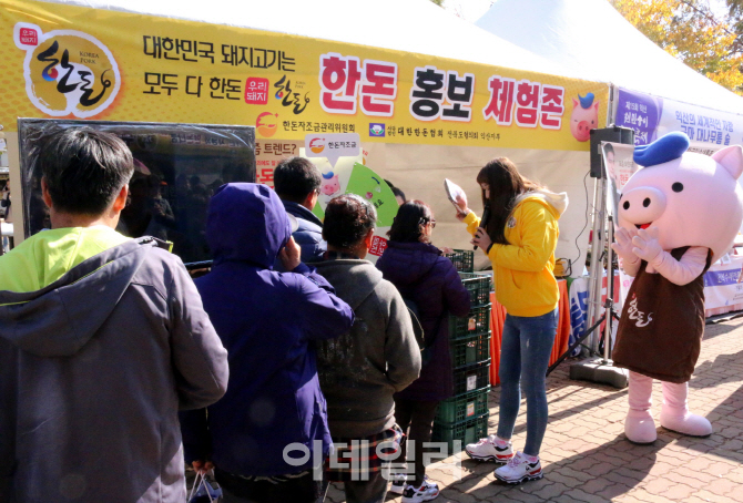 [포토]  익산천만송이국화축제 한돈 홍보 체험존