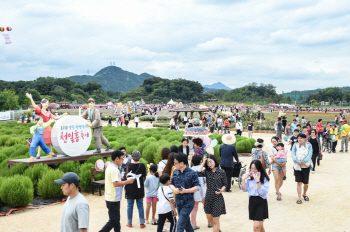 '핑크뮬리 성지' 양주 나리공원…두달새 50만명 인파 몰렸다